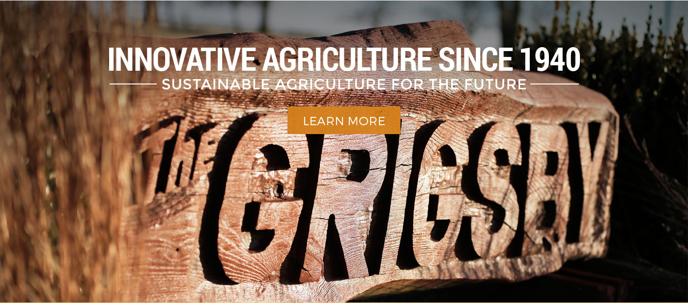 Home page Tallula, Illinois Grigsby Farms